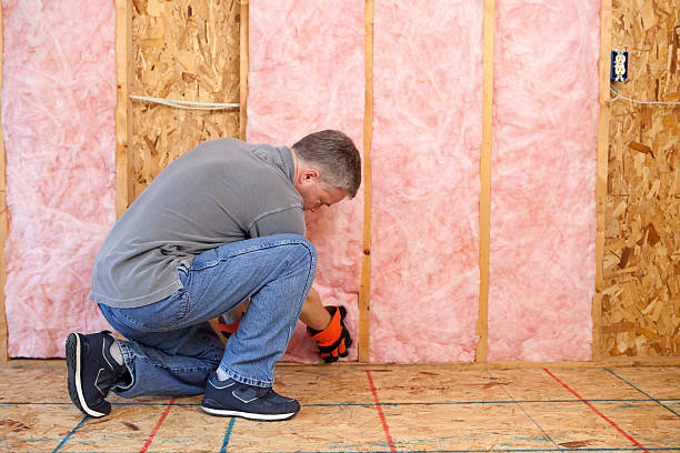 Best Fireproof Insulation  in Roanoke Rapids, NC