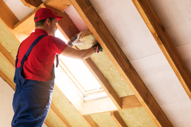 Trusted Roanoke Rapids, NC Insulation Experts